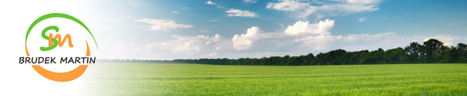 SM Brudek Martin, Czyszczenie przemyslowe.